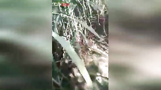 XXX-shaped body of slutty Indian caught being drilled in the field | XXX Video on AllSex.XXX