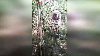 XXX-shaped body of slutty Indian caught being drilled in the field | XXX Video on AllSex.XXX