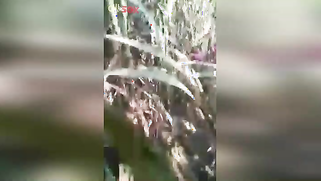 XXX-shaped body of slutty Indian caught being drilled in the field | XXX Video on AllSex.XXX