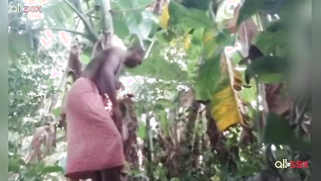 Amateur Indian porn actress is proud of sex skills to show them on cam | XXX Video on AllSex.XXX