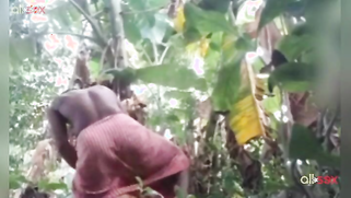 Amateur Indian porn actress is proud of sex skills to show them on cam | XXX Video on AllSex.XXX