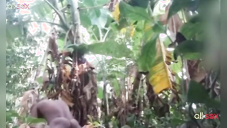 Amateur Indian porn actress is proud of sex skills to show them on cam | XXX Video on AllSex.XXX