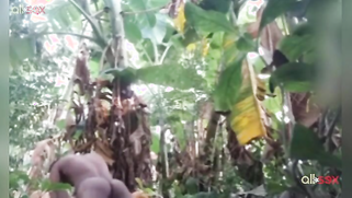 Amateur Indian porn actress is proud of sex skills to show them on cam | XXX Video on AllSex.XXX