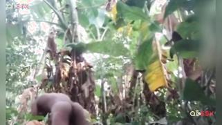 Amateur Indian porn actress is proud of sex skills to show them on cam | XXX Video on AllSex.XXX