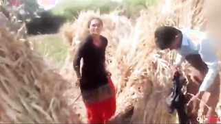 Indian charmer fools around with boyfriend in the field being caught | XXX Video on AllSex.XXX