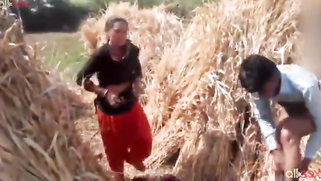 Indian charmer fools around with boyfriend in the field being caught