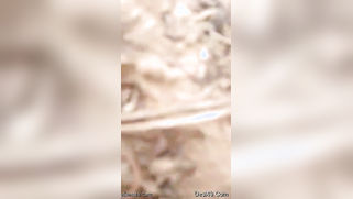 Guy films porn video even though Desi girlfriend doesn't want it | XXX Video on AllSex.XXX