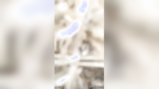 Guy films porn video even though Desi girlfriend doesn't want it | XXX Video on AllSex.XXX