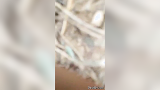 Guy films porn video even though Desi girlfriend doesn't want it | XXX Video on AllSex.XXX