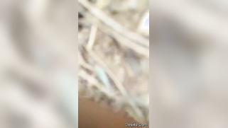 Guy films porn video even though Desi girlfriend doesn't want it | XXX Video on AllSex.XXX