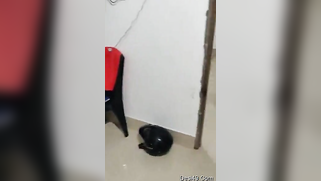 Guy takes camera to follow pretty Desi wife and film porn video | XXX Video on AllSex.XXX