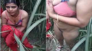 Reeds are a quiet place where Desi porn partners can practice sex | XXX Video on AllSex.XXX