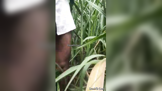 Reeds are a quiet place where Desi porn partners can practice sex | XXX Video on AllSex.XXX