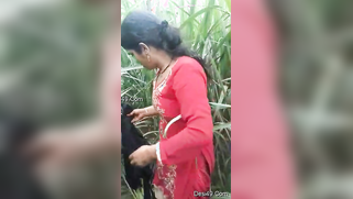 Reeds are a quiet place where Desi porn partners can practice sex