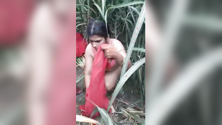 Reeds are a quiet place where Desi porn partners can practice sex | XXX Video on AllSex.XXX