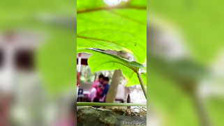 Stud looks for an opportunity to film porn and he notices Desi couple | XXX Video on AllSex.XXX