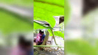 Pervert patiently waits for the Desi couple to do some porn things | XXX Video on AllSex.XXX