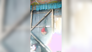 Solo porn video of the delectable Desi girl with extremely long hair | XXX Video on AllSex.XXX