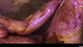 Stunning Desi model smears body with chocolate syrup in the porn video | XXX Video on AllSex.XXX