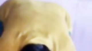 Woman isn't happy with porn video Desi hubby films but he doesn't care | XXX Video on AllSex.XXX