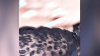 Housewife thinks Desi men will be interested in watching her porn video | XXX Video on AllSex.XXX