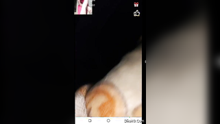 Hubby earns money showing tits and fingering his Desi wife's cunt | XXX Video on AllSex.XXX