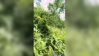 Voyeur catches mature Desi couple XXX ready to fuck in the woods | XXX Video on AllSex.XXX