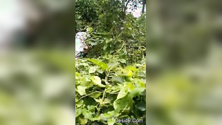 Voyeur catches mature Desi couple XXX ready to fuck in the woods | XXX Video on AllSex.XXX