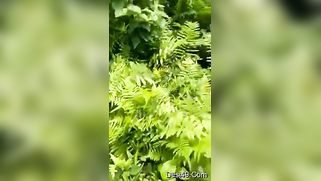 Voyeur catches mature Desi couple XXX ready to fuck in the woods | XXX Video on AllSex.XXX