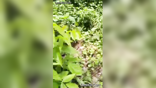 Voyeur catches mature Desi couple XXX ready to fuck in the woods | XXX Video on AllSex.XXX