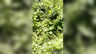 Voyeur catches mature Desi couple XXX ready to fuck in the woods | XXX Video on AllSex.XXX