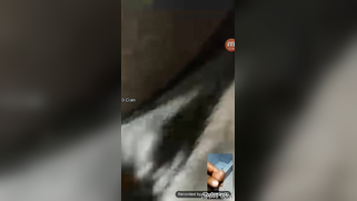 Nasty Desi webcam slut XXX touching her twat for a guy to jerk off | XXX Video on AllSex.XXX