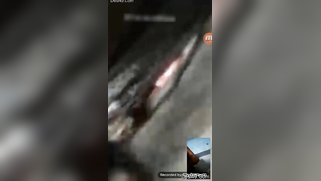 Dude jerks off his dick watching Desi MILF XXX playing with pussy | XXX Video on AllSex.XXX