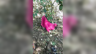 Desi XXX village girl with skinny body agrees to have sex outdoors | XXX Video on AllSex.XXX