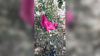 Desi XXX village girl with skinny body agrees to have sex outdoors | XXX Video on AllSex.XXX