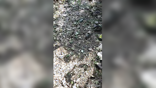 Desi XXX village girl with skinny body agrees to have sex outdoors | XXX Video on AllSex.XXX