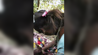 Desi XXX village girl with skinny body agrees to have sex outdoors | XXX Video on AllSex.XXX