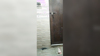 Sweet Desi XXX model poses all nude showing off her chubby body | XXX Video on AllSex.XXX