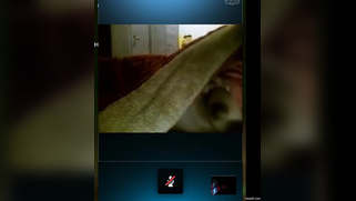 Chick wants sex so she silently touches nipples and clitoris in bed | XXX Video on AllSex.XXX