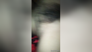 Desi girl films herself shamelessly exposing breasts and hairy cunt | XXX Video on AllSex.XXX