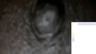 Desi babe exposes breasts with dark nipples to friend via videolink | XXX Video on AllSex.XXX