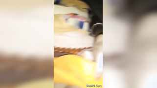 Indian babe lifts yellow sari and shows off pretty hairy pussy | XXX Video on AllSex.XXX