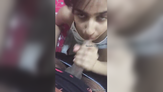 Man permits excited Desi babe to suck his throbbing cock to facial | XXX Video on AllSex.XXX