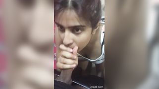 Man permits excited Desi babe to suck his throbbing cock to facial | XXX Video on AllSex.XXX