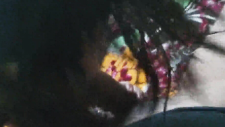 Aunty has XXX oral fun with cameraman who films how she makes him cum | XXX Video on AllSex.XXX