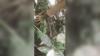 Indian thinks guy will be glad to film XXX video of her in the nude | XXX Video on AllSex.XXX