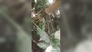 Indian thinks guy will be glad to film XXX video of her in the nude | XXX Video on AllSex.XXX