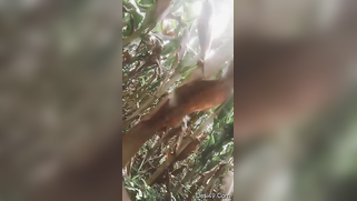 Indian thinks guy will be glad to film XXX video of her in the nude | XXX Video on AllSex.XXX