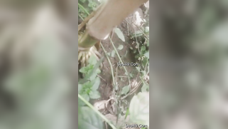 Indian thinks guy will be glad to film XXX video of her in the nude | XXX Video on AllSex.XXX