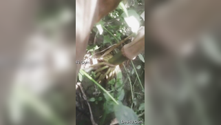 Indian thinks guy will be glad to film XXX video of her in the nude | XXX Video on AllSex.XXX